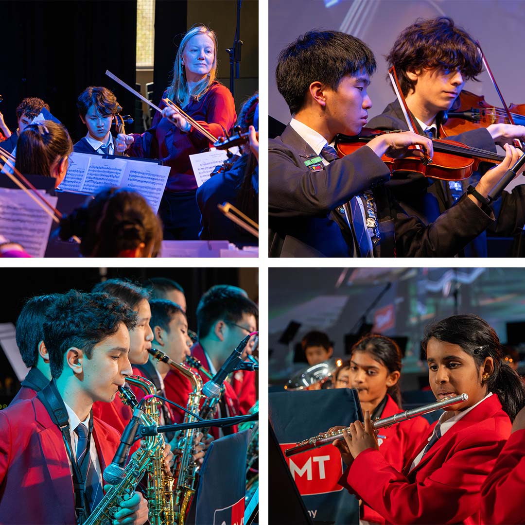 Music Concert 2.jpg